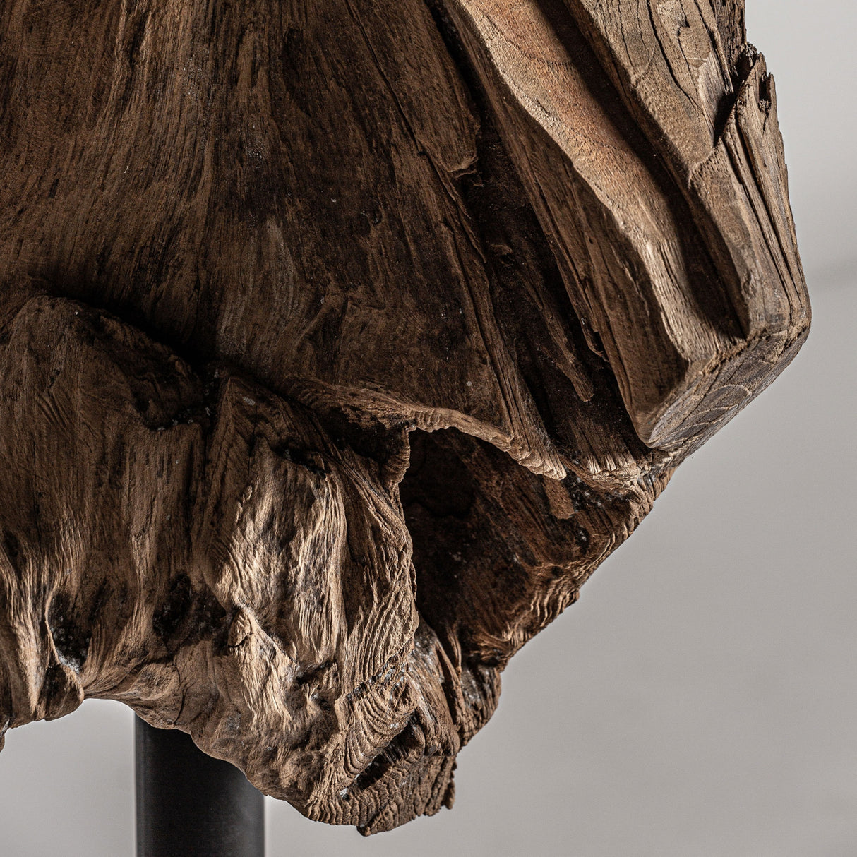   Organic-Shaped Tropical Wood Sculpture | Oroa.com