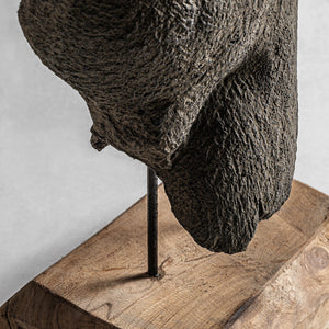   Gray Terracotta Bust | Oroa.com