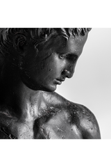 Black Man Sculpture | Vical Home Helios Bust | Oroa.com