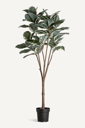   Variegated Leaf Artificial Plant | Oroa.com