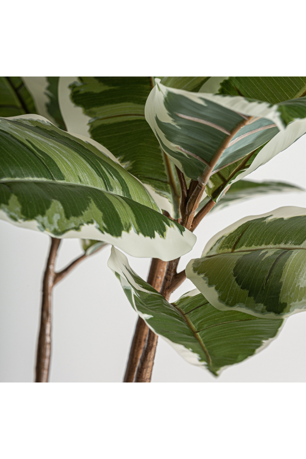   Variegated Leaf Artificial Plant | Oroa.com