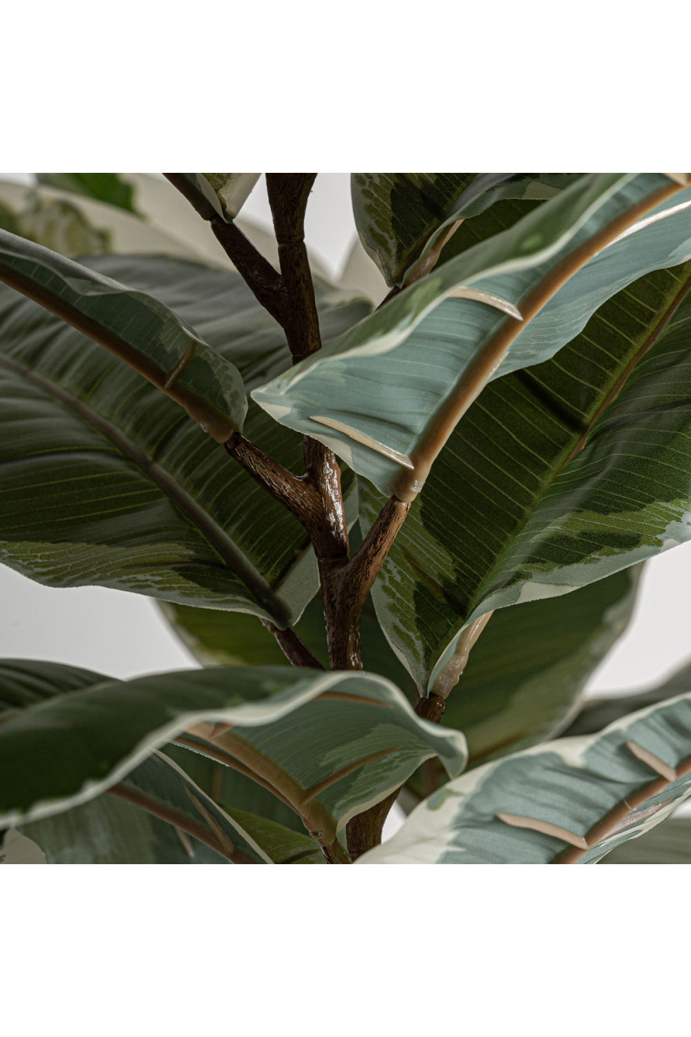   Variegated Leaf Artificial Plant | Oroa.com