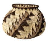 Lightning Bolts Rainforest Basket