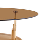 Brown Gold Nesting Coffee Table Set | OROA