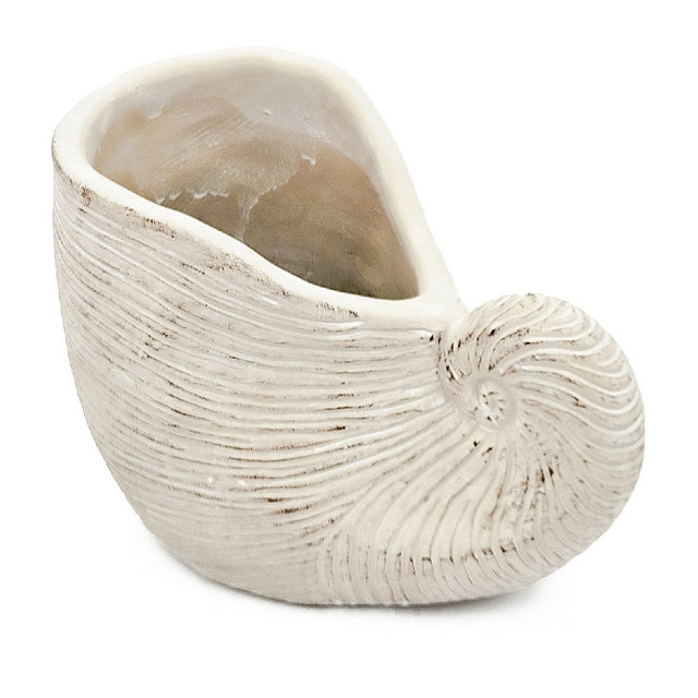 Modern European furniture - Textured Beige Nautilus Shell Sand Cement Planter - www.oroa.com