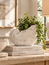 Modern European furniture - Textured Beige Nautilus Shell Sand Cement Planter - www.oroa.com
