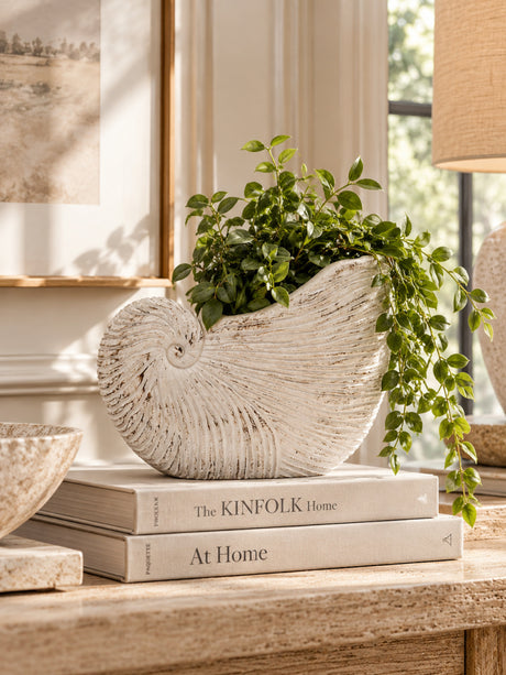 Modern European furniture - Textured Beige Nautilus Shell Sand Cement Planter - www.oroa.com