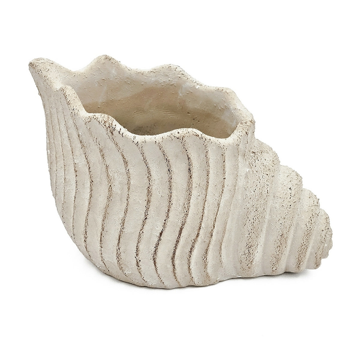 Cement Nautilus Shell Planter | OROA