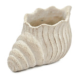 Cement Nautilus Shell Planter | OROA