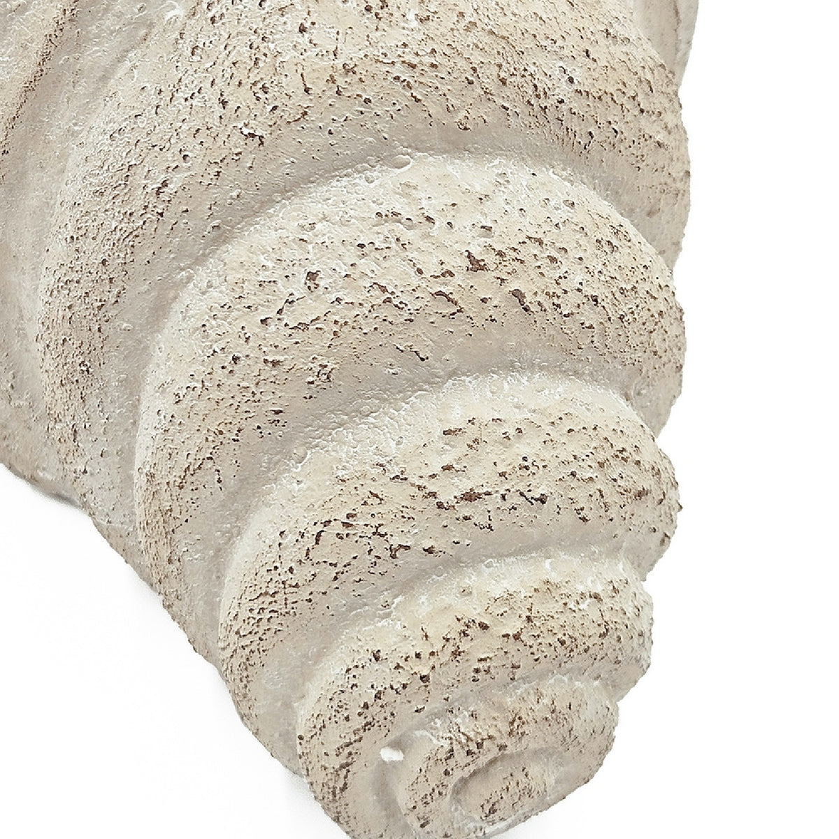 Cement Nautilus Shell Planter | OROA