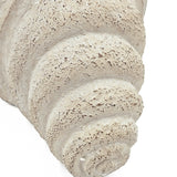 Cement Nautilus Shell Planter | OROA