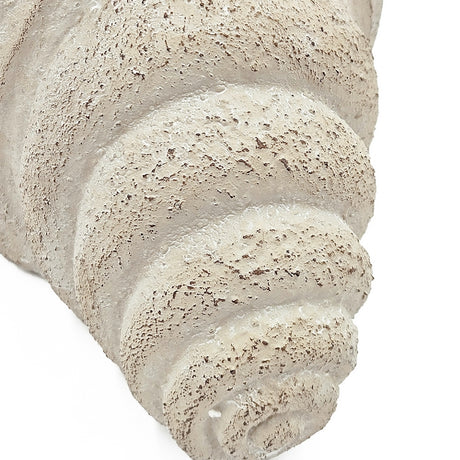 Cement Nautilus Shell Planter | OROA