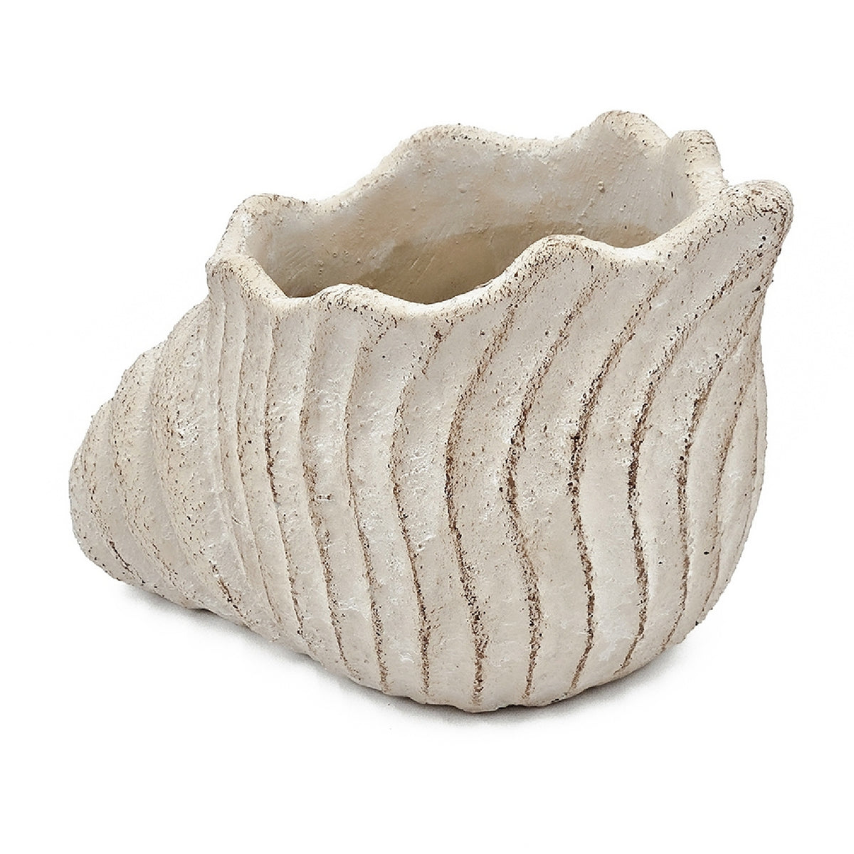 Cement Nautilus Shell Planter | OROA
