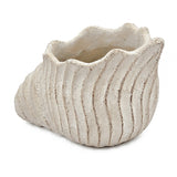 Cement Nautilus Shell Planter | OROA