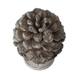 Pinecone Table Decor | OROA