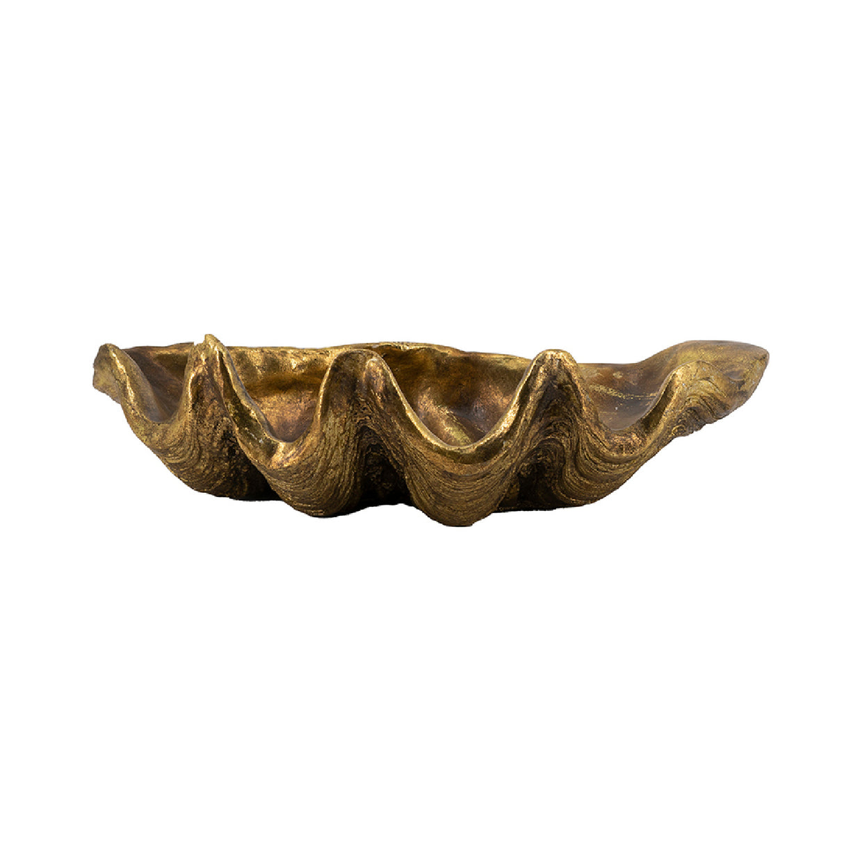 Gold Decorative Shell Bowl | OROA