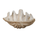 Decorative Natural Clam Shell | OROA