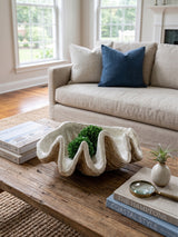 Decorative Natural Clam Shell | OROA