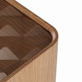 Modern European furniture - Rectangular Modern Glass Top Coffee Table - www.oroa.com