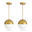 Modern European furniture - Brushed Gold Pendant Lights (2) - www.oroa.com