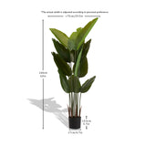 63" Artificial Traveler’s Palm Tree | OROA - www.oroa.com