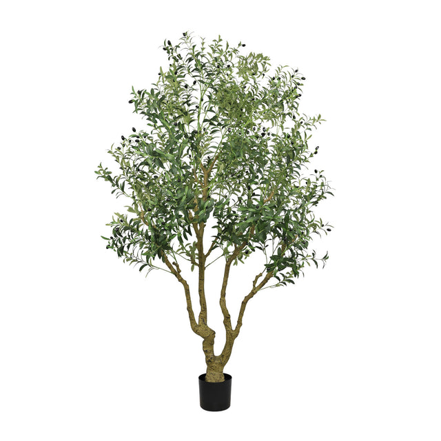 Modern European furniture - 8' Artificial Olive Tree with Natural Wood Trunk - www.oroa.com