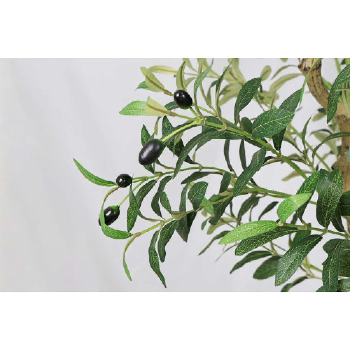 Modern European furniture - 8' Artificial Olive Tree with Natural Wood Trunk - www.oroa.com