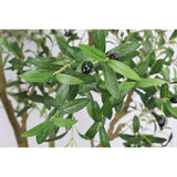 Modern European furniture - 8' Artificial Olive Tree with Natural Wood Trunk - www.oroa.com