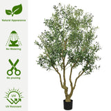 Modern European furniture - 8' Artificial Olive Tree with Natural Wood Trunk - www.oroa.com