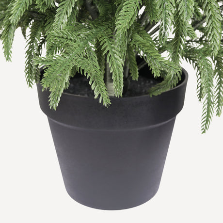 60" Artificial Real Touch Norfolk Pine Trees (2) - OROA - view 9