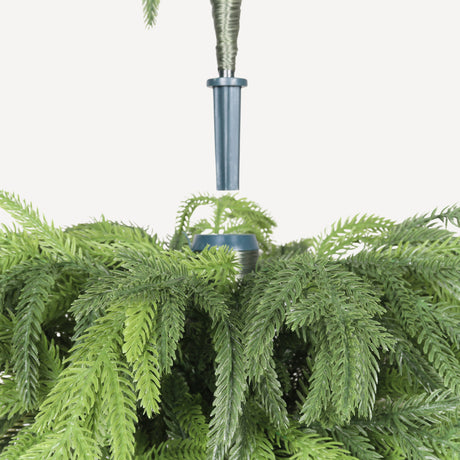 60" Artificial Real Touch Norfolk Pine Trees (2) - OROA - view 8