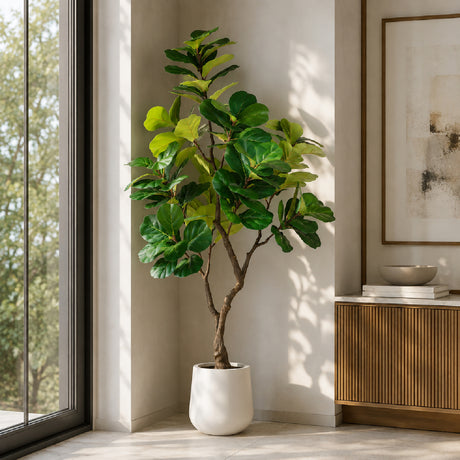 Modern European furniture - 6' Artificial Fiddle Leaf Fig Tree in White Pot - www.oroa.com