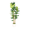 Modern European furniture - 63" Artificial Fiddle Leaf Fig Tree in White Pot - www.oroa.com