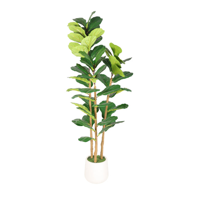 Modern European furniture - 63" Artificial Fiddle Leaf Fig Tree in White Pot - www.oroa.com