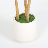 Modern European furniture - 63" Artificial Fiddle Leaf Fig Tree in White Pot - www.oroa.com