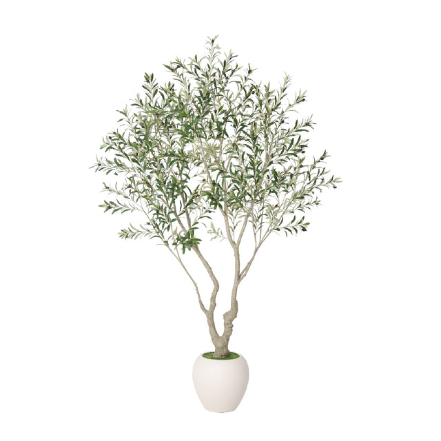 Modern European furniture - 8' Lifelike Olive Tree in White Planter - www.oroa.com