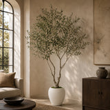 Modern European furniture - 8' Lifelike Olive Tree in White Planter - www.oroa.com