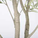 Modern European furniture - 8' Lifelike Olive Tree in White Planter - www.oroa.com