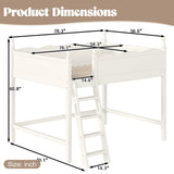 Solid Wood Beige Loft Bed with Ladders | OROA Kids