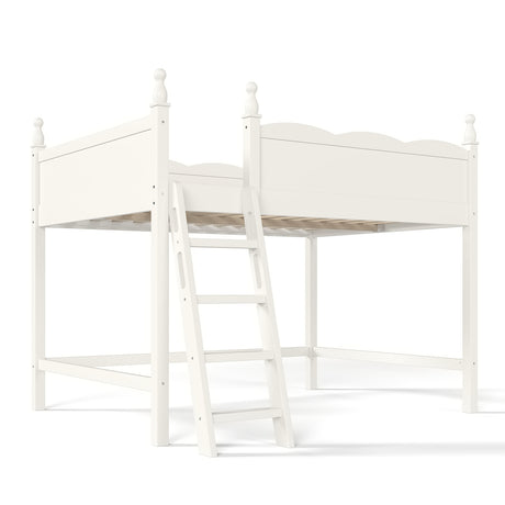 Solid Wood Beige Loft Bed with Ladders | OROA Kids