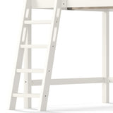 Solid Wood Beige Loft Bed with Ladders | OROA Kids