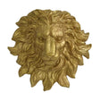 Modern European furniture - Golden Lion Head Resin Wall Mount Decor - www.oroa.com