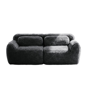 Modern European furniture - Dark Gray 2-Seater Modular Sectional Sofa - www.oroa.com