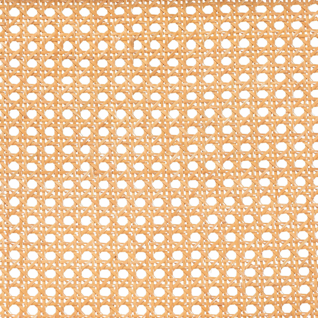 Rattan Cane Cushioned Lounge Chair | Novi Living Cambridge