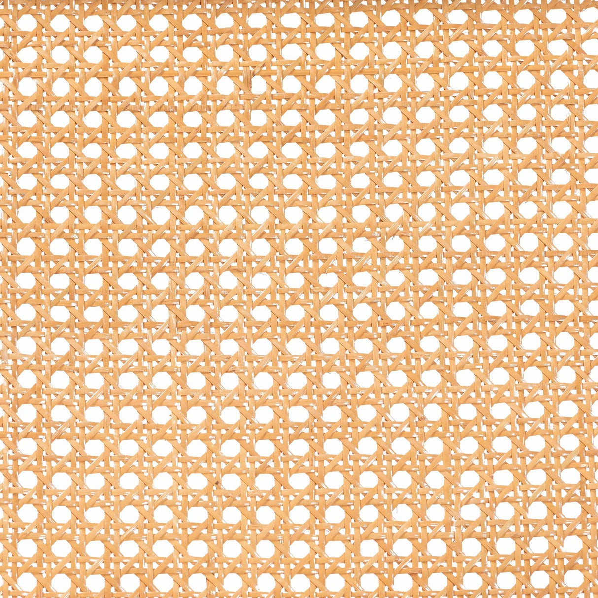 Modern European furniture - Rattan Cane Cushioned Lounge Chair - www.oroa.com