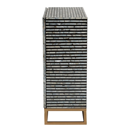 Modern European furniture - Black Gray 2 Door Cabinet - www.oroa.com