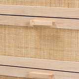 Modern European furniture - 3 Drawer Rattan Storage Cabinet - www.oroa.com