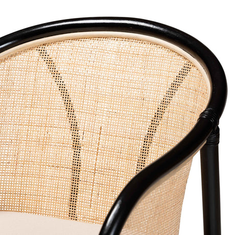 Modern European furniture - Black Framed Rattan Dining Chairs 2 - www.oroa.com