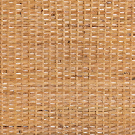 Modern European furniture - Rattan Peacock Fan Cabinet - www.oroa.com