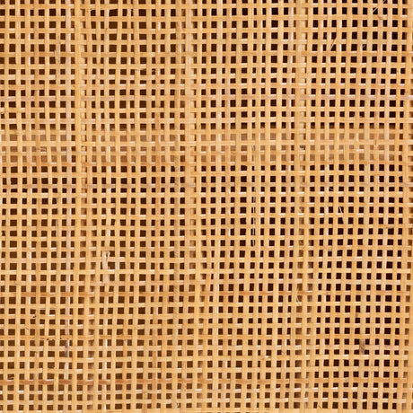 Modern European furniture - Natural Rattan 2 Door Sideboard - www.oroa.com